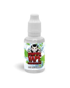 Ice Menthol Flavour Concentrate 30ml - Vampire Vape